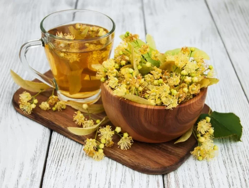 Chá de de tília numa chavena de vidro transparente com flores de tilia dentro de uma bowl de madeira