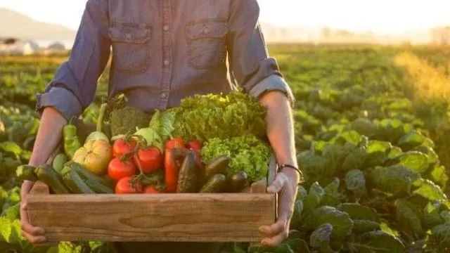 A dieta mediterranica é sustentável