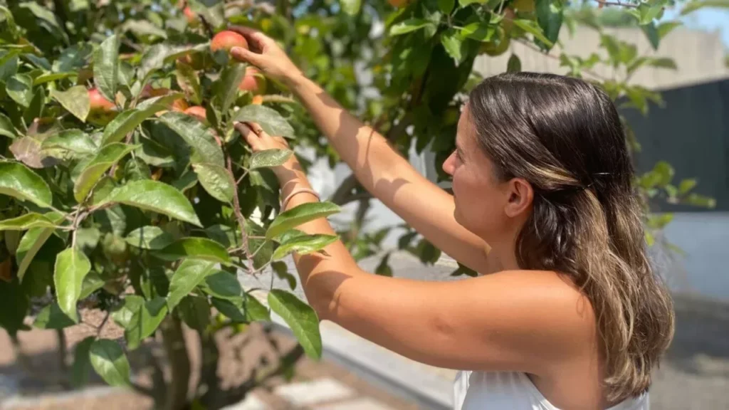 Ana Sousa Nutricionista