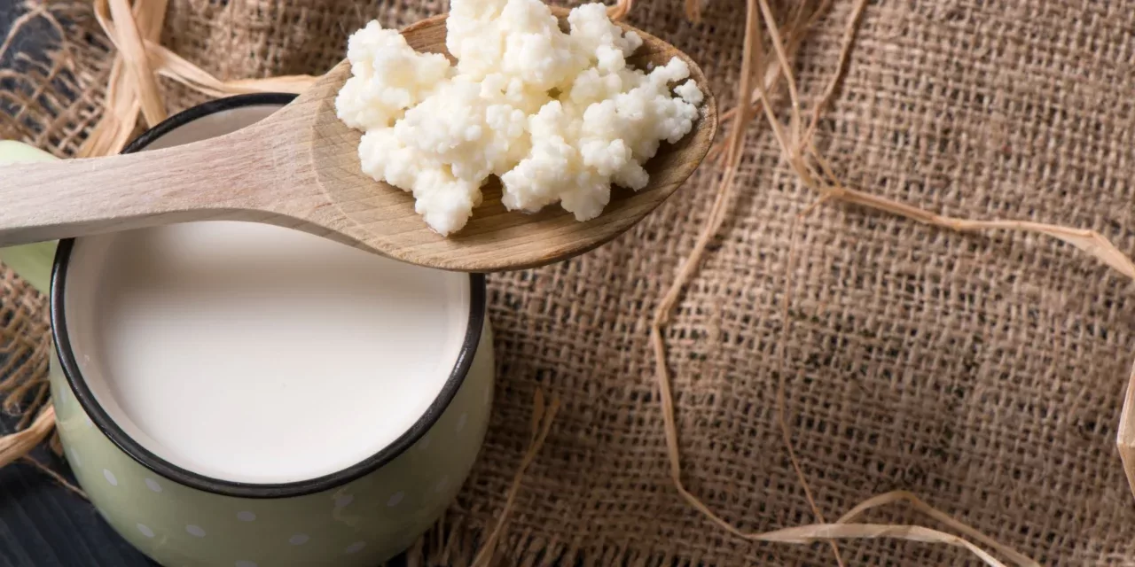 Beneficios do kefir